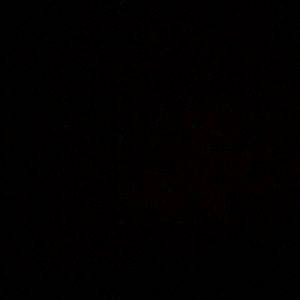 Meet your Posher, Raquel